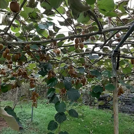 La Casa De Arantza Con Jardin Y Wifi * Ispáster