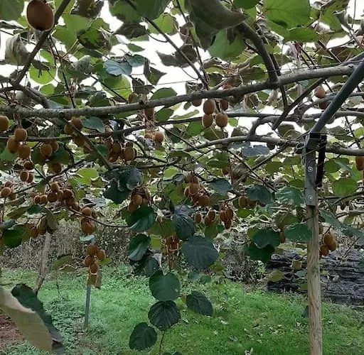 La Casa De Arantza Con Jardin Y Wifi * Ispáster
