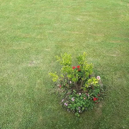 Casa de Férias La Casa De Arantza Con Jardin Y Wifi Ispáster