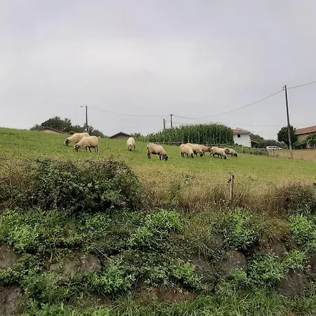 La Casa De Arantza Con Jardin Y Wifi Ispáster