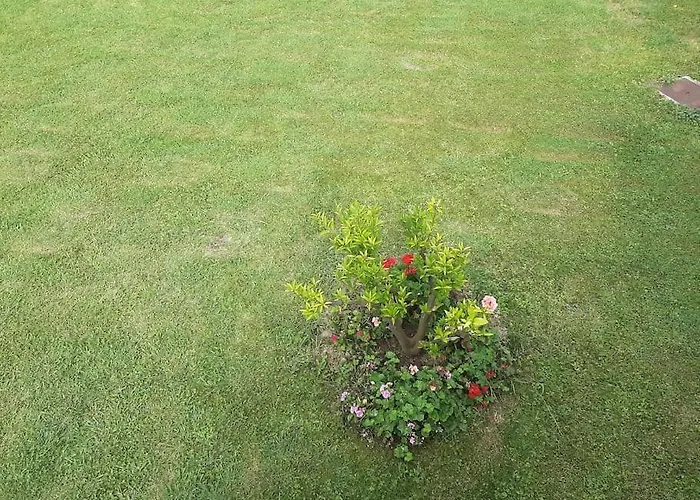 Semesterbostad La Casa De Arantza Con Jardin Y Wifi Ispáster