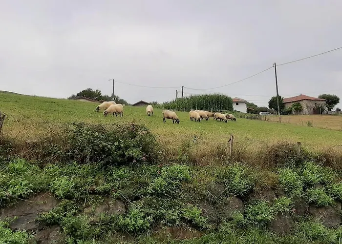 La Casa De Arantza Con Jardin Y Wifi Ispáster